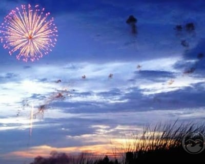 Shelter Cove Fireworks & Dolphin Boat Cruise