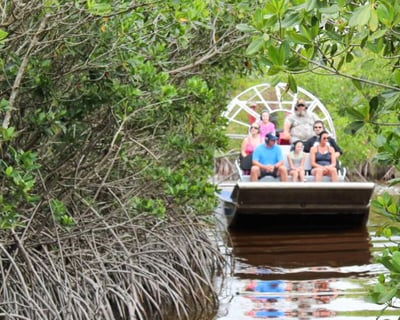 Private Airboat Tour in Ochopee