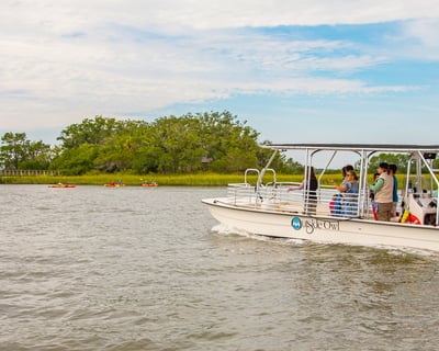 Private Naturalist-Led Dolphin Boat & Kayak Tour