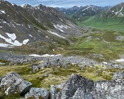 6-9 Hour Guided Bear Creek Hike in Delta Junction