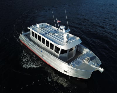 Juneau Whale Watching Tour
