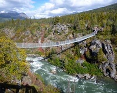 Explore Emerald Lake & Yukon Suspension Bridge Tour