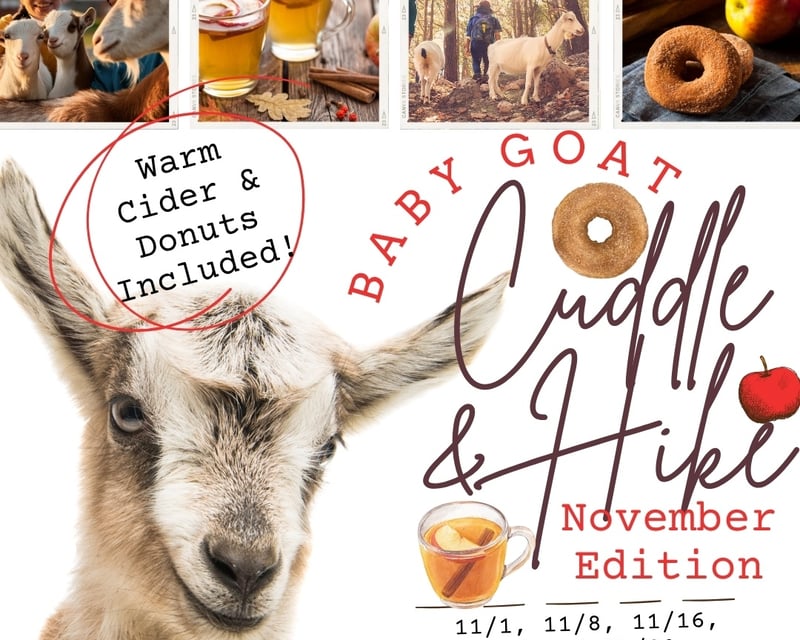 Fall Baby Goat Cuddle & Hike in Northborough, MA