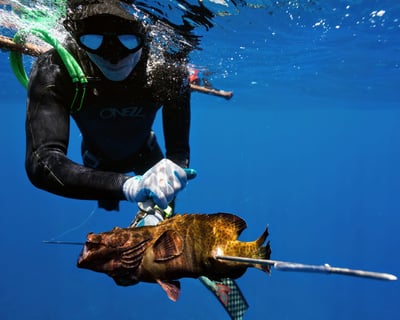 Two-Day Spearfishing Course