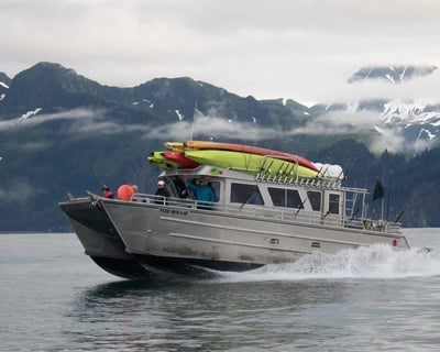 Kenai Fjords Glacier Kayak & Fishing Charter