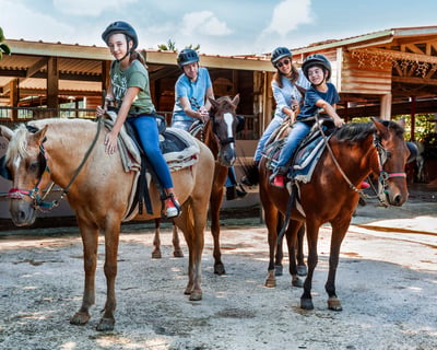 El Yunque 2-Hour Horseback Ride