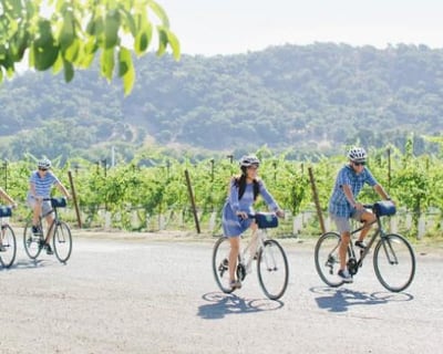 Full-Day Napa Valley E-Bike Tour