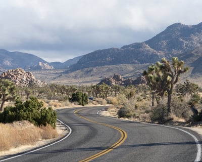 Joshua Tree National Park Guided Tour & Photos