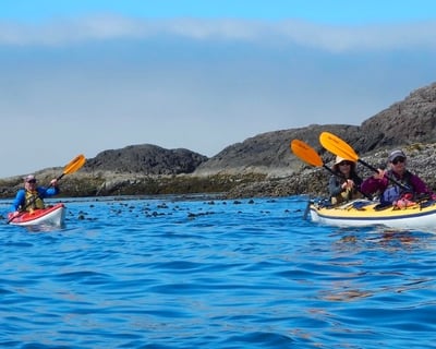 Guided Sea Kayaking Tour in Ucluelet