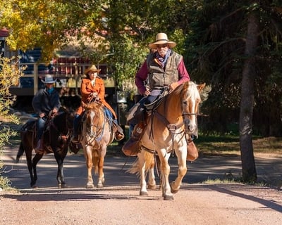 3-Hour Horseback Trail Ride in Almont