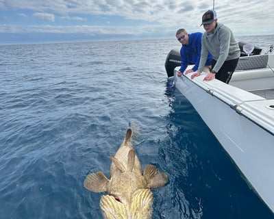 4-Hour Reef & Wreck Fishing Charter in Naples