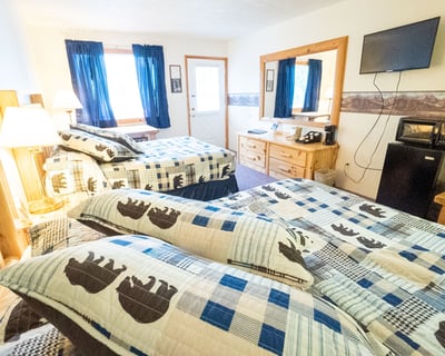 Ohiopyle Studio Stay With 2 Queen Beds
