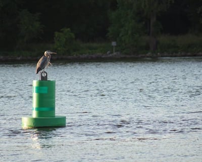 Sunset Doty Island Paddle