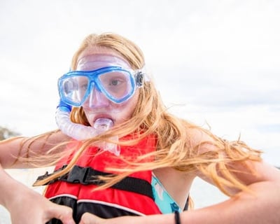3-Hour Dolphin & Snorkel Tour at Shell Island