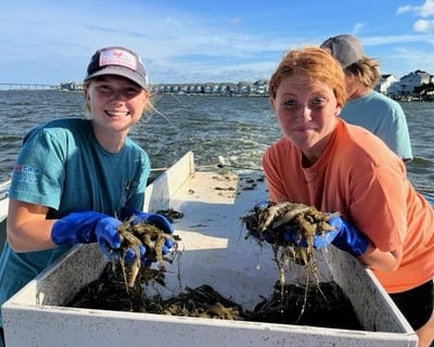 Outer Banks Shrimping & Crabbing Charter
