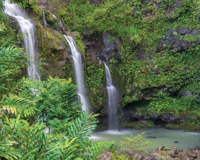 Explore Maui’s Road to Hana Guided Tour