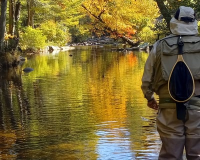 Guided Walk & Wade Fishing in Mount Holly Springs