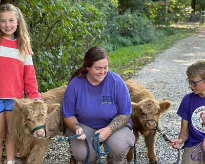 Feed & Walk a Highland Calf in North Georgia