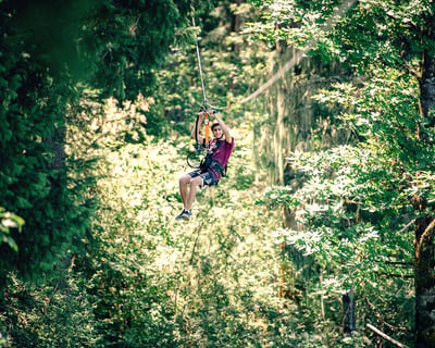 Hagg Lake 2-Hour Zipline Canopy Tour