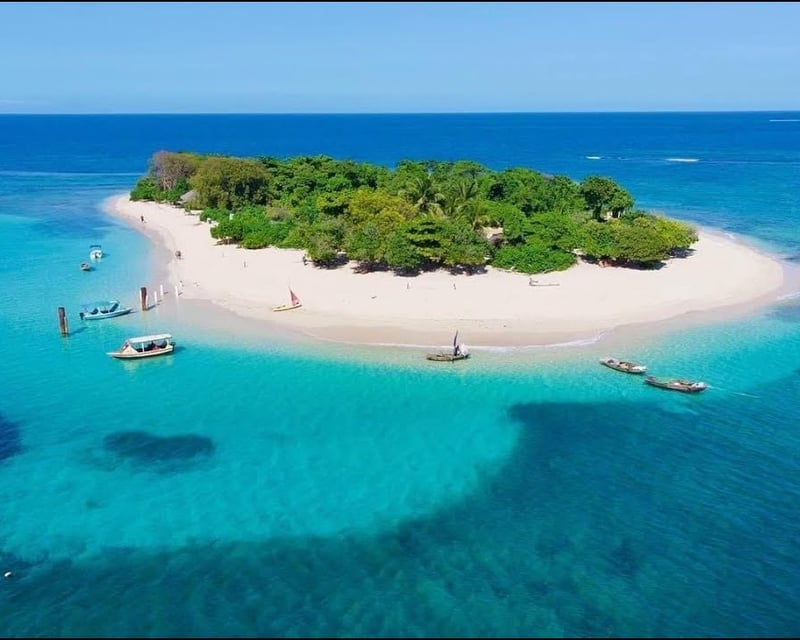 Île-à-Rat Coral Reef Beach Tour from Cap-Haitien