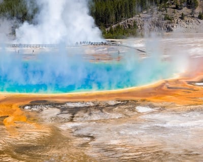 Guided Yellowstone Scenic Driving Tour From Jackson