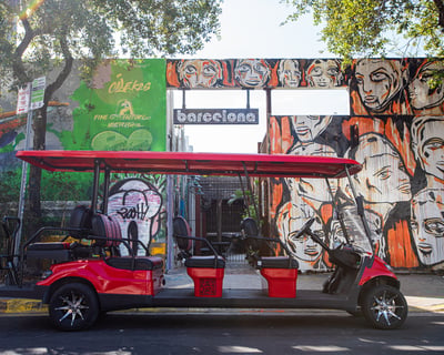 Explore Wynwood Art by Buggy & Wine Tasting