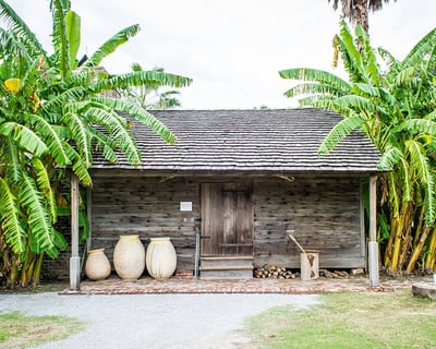 Whitney Plantation Guided Group Tour