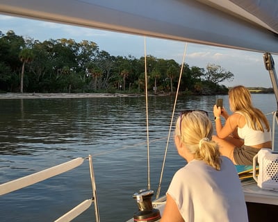 Dolphin & Monkey Sailing Cruise on Saint Helena Island