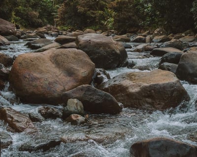 El Yunque National Forest Guided Tour