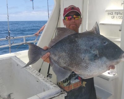 Panama City Beach 5-Hour Deep Sea Fishing Trip