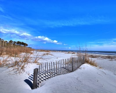 11-Day Beach Cruiser Rental on Hilton Head Island