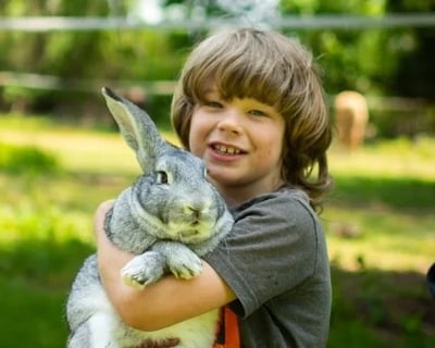 20-Minute Bunny Walk in Portsmouth