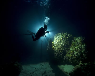 Night Dive Charter in Key Largo