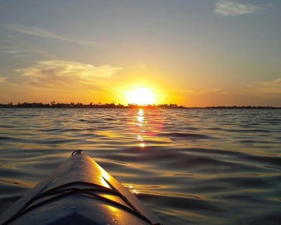 Early Morning Guided Kayak Tour in Cape Coral