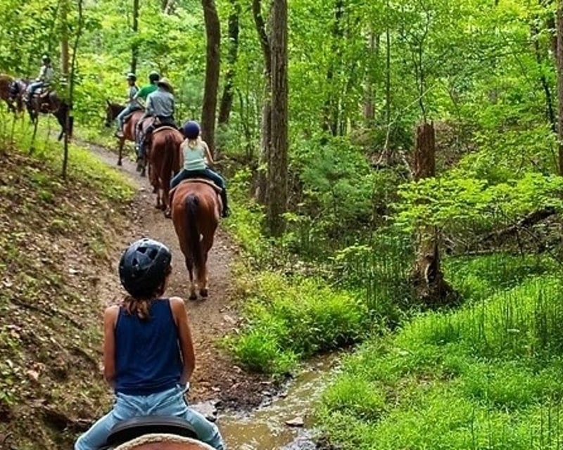 Half-Day Horseback Ride to Edith Overlook in Fort Valley