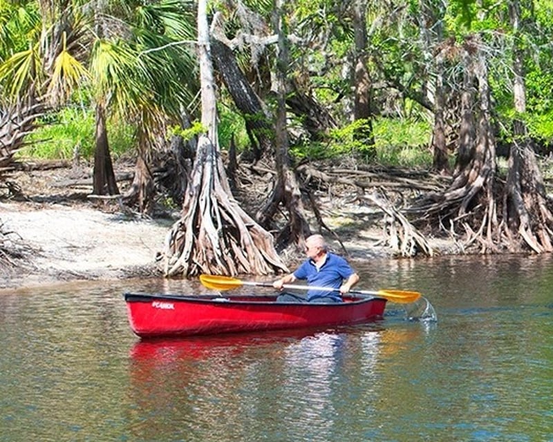 Kayak & Canoe Float from Burnt Bridge on Fisheating Creek