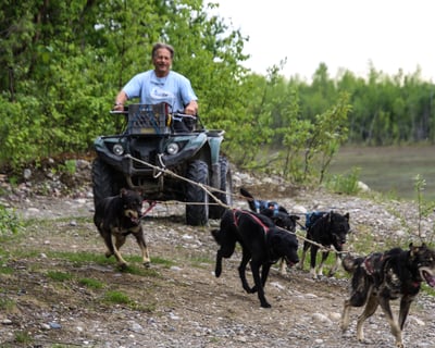 Sled Dog Kennel Tour in Big Lake