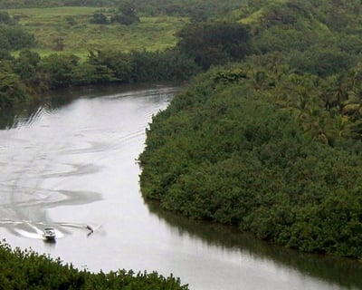 Waterskiing & Wakeboarding Lesson on Wailua River