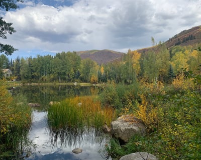2-Hour Hunter Creek Leisure Hike in Aspen