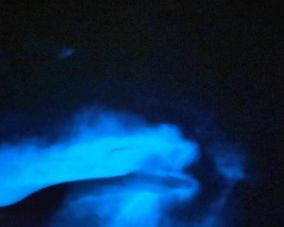 Bioluminescent Kayak Tour in Cocoa Beach