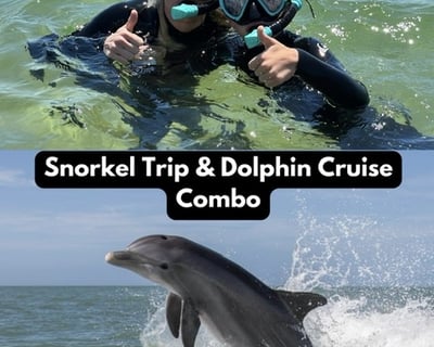 Orange Beach Dolphin & Snorkeling Charter