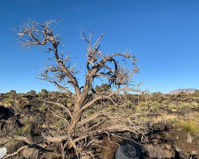 Guided Cochise Stronghold Hike From Bisbee