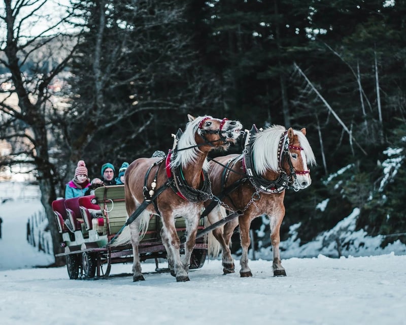 Private Countryside Sleigh or Wagon Ride in Kamas, Utah