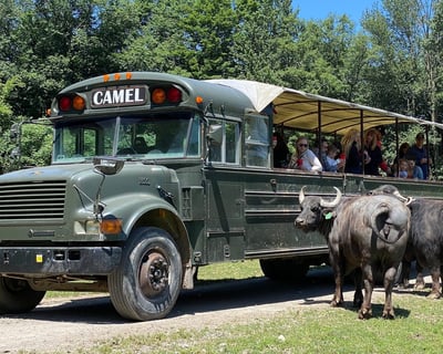 Private Guided Safari Tour in Varysburg