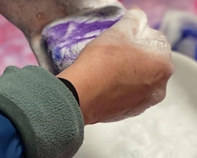 Felting Workshop With Baby Goats in Glen Allen