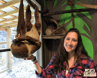 Sloth Experience at North Georgia Wildlife & Safari Park