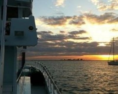 Sunset Dolphin Cruise in Perdido Key