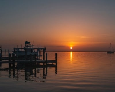 Wildlife Sunset Cruise in Pine Island Sound