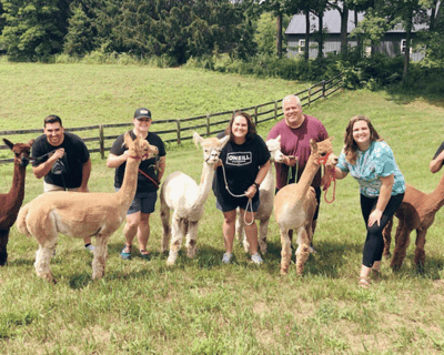 Guided Alpaca & Llama Trek in Pleasant Valley