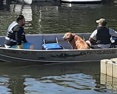 14' Fishing Boat Rental in West Yellowstone